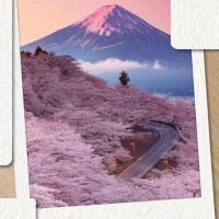 おはようございます☀️