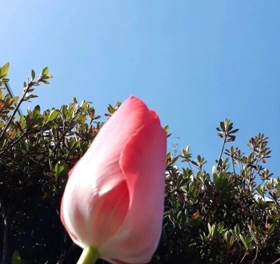 おはようございます☀️