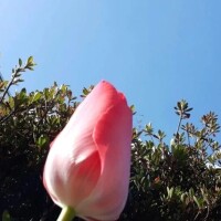 おはようございます☀️