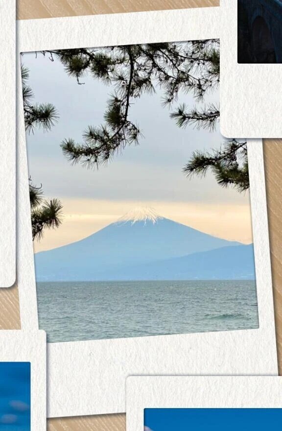 おはようございます☀️