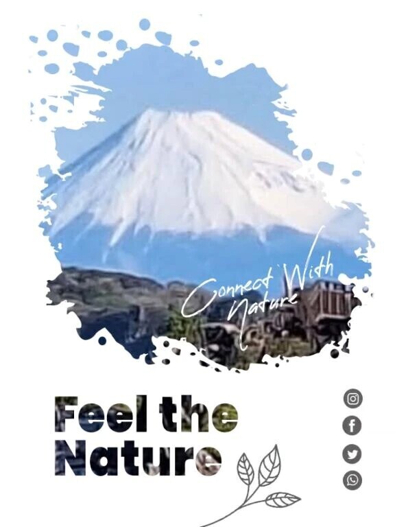 おはようございます😃