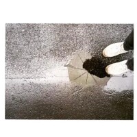 こんばんは(  ´˘`  )