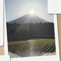 おはようございます☀️