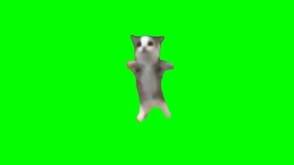 ハッピーハッピーハッピー🍀