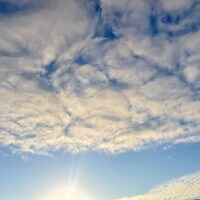椎葉いちか