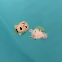 ちいかわ♡