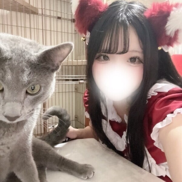 遅くなりました( > <꧞)