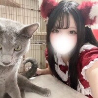 遅くなりました( > <꧞)