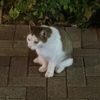 水戸4日間🩷✨ありがとうございました🙈💕✨