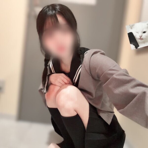 🐈‍⬛次のいる日