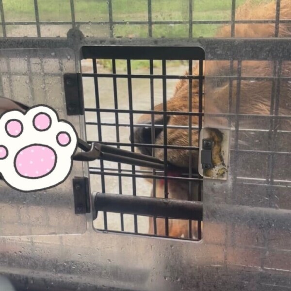 さっそく夏の思い出🦁