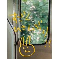 しゃそうから