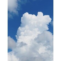 とき