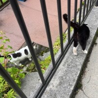 またあした！