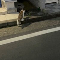 おはよう(՞っ ̫ _՞)ᐝ