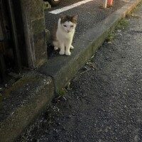 にゃ