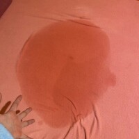 これなーんだ🫨
