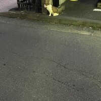 (´•ω•`๑)