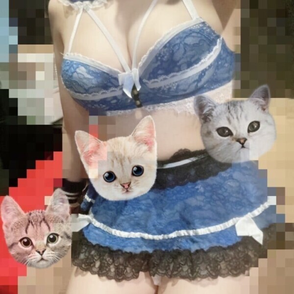 🦋隠れねこちゃん🦋