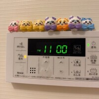 秋到来ほぼ冬