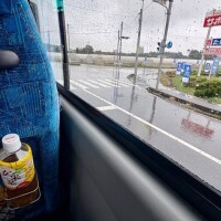 余談ですが^ ^