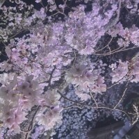 あんな