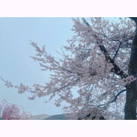 とき