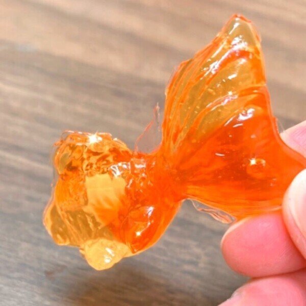 🐟きんぎょっ🫧
