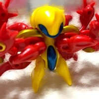 お知らせ⋆͛📢⋆
