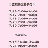 7月後半予定