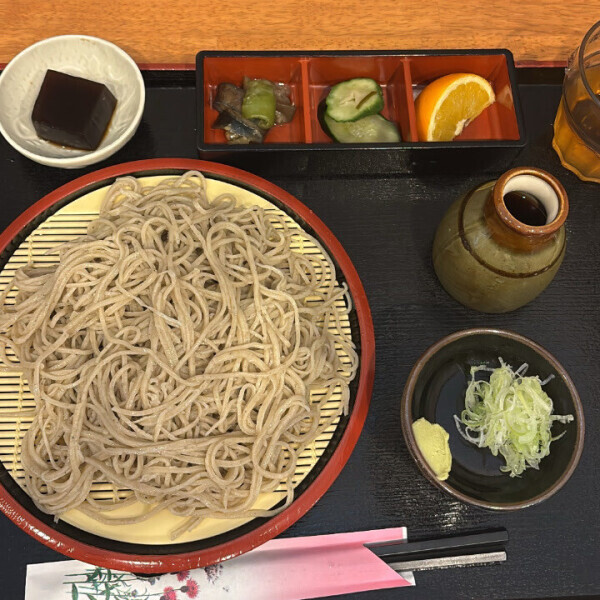 申し訳ありません