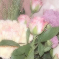 💌𓂃𓈒𓂂𓏸
