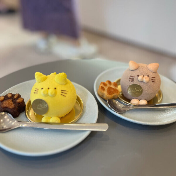 心配かけさせてごめんね😭