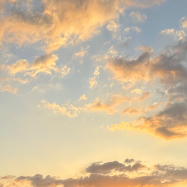 長引いてしまって。。