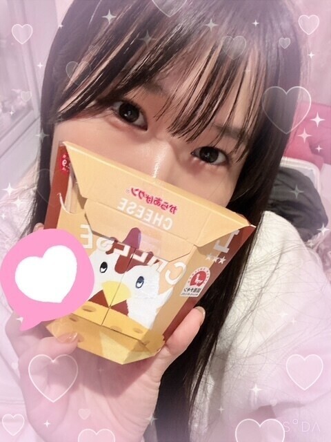 からあげくん〜