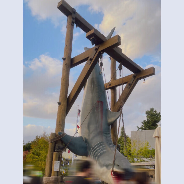 はじめてのった