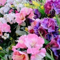 今日もありがとう🤍