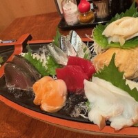 頭を良くしたい🐟