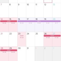 12月後半のこばとの予定だよ♡