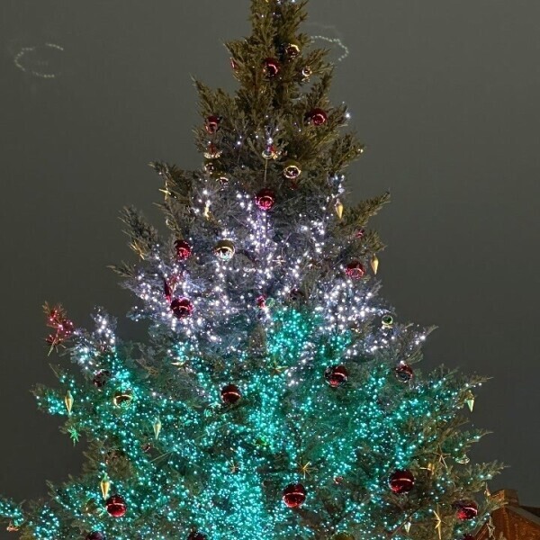 お礼＆明日出勤ꕀ♡˒˒