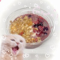 健康になれた気がした日