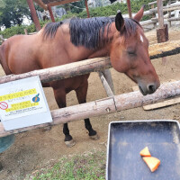 おはようございます🎍