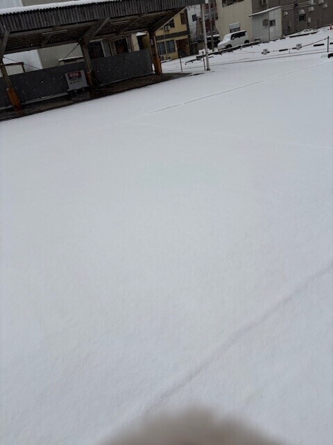 足跡をつけたくなる🐾