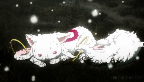 楽しみはまた来週....