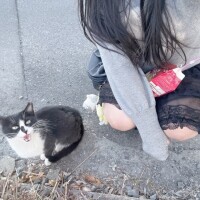 無理なものは無理って言います( ՞ ᴗ̫ ᴗ՞)"