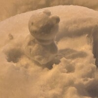 夢占いは信じない！！