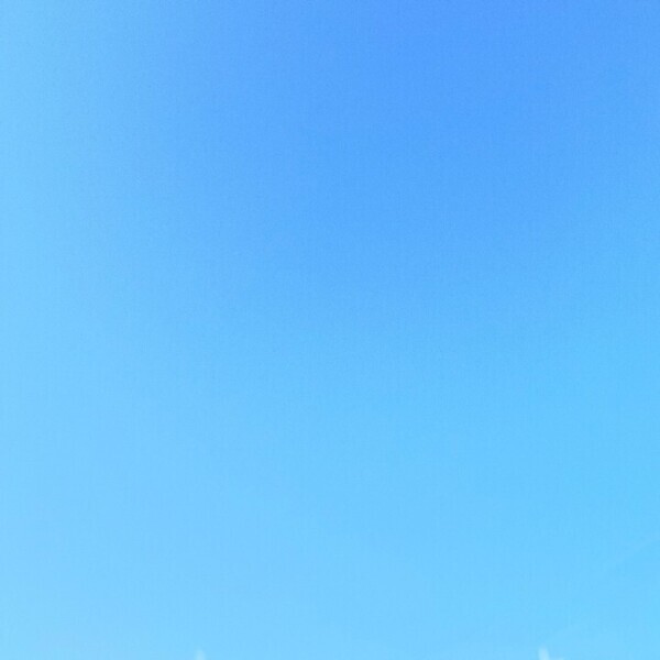 この青なーんだ