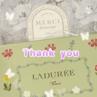 🩵マカロン🩵