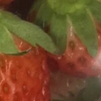 本日限定水戸出勤です‼️