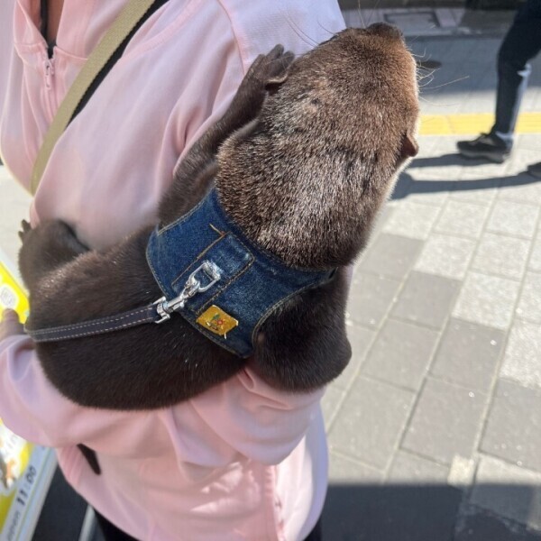 ラストひと枠‼️